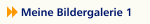 Meine Bildergalerie 1