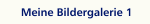 Meine Bildergalerie 1